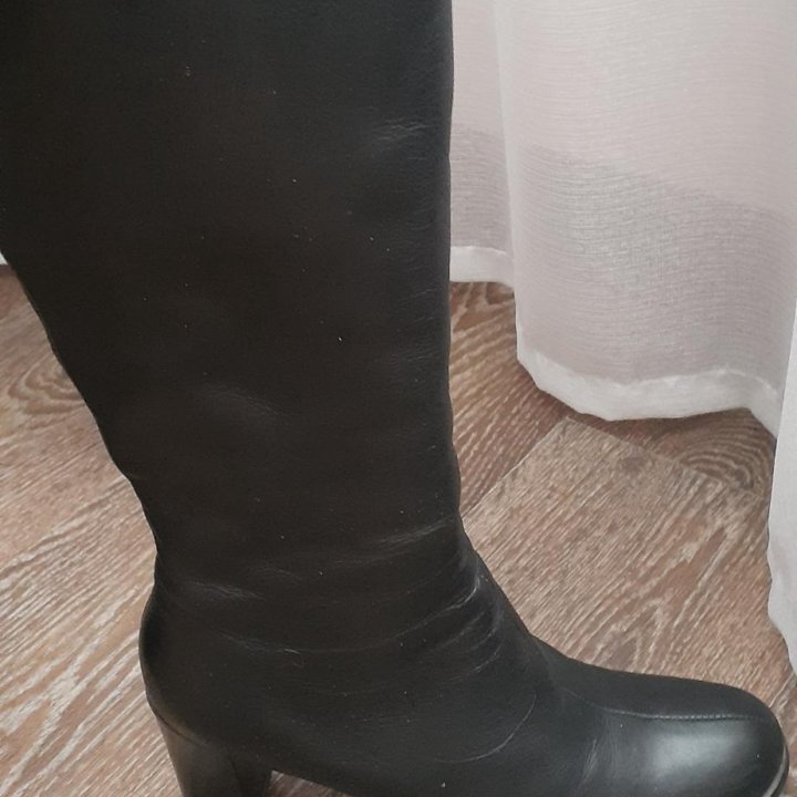 Сапоги демисезонные