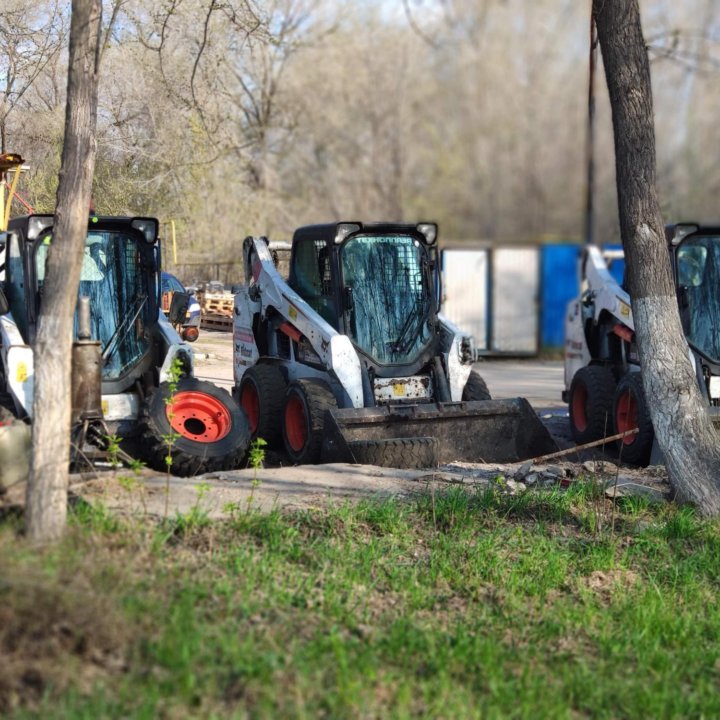 Аренда минипогрузчика bobcat