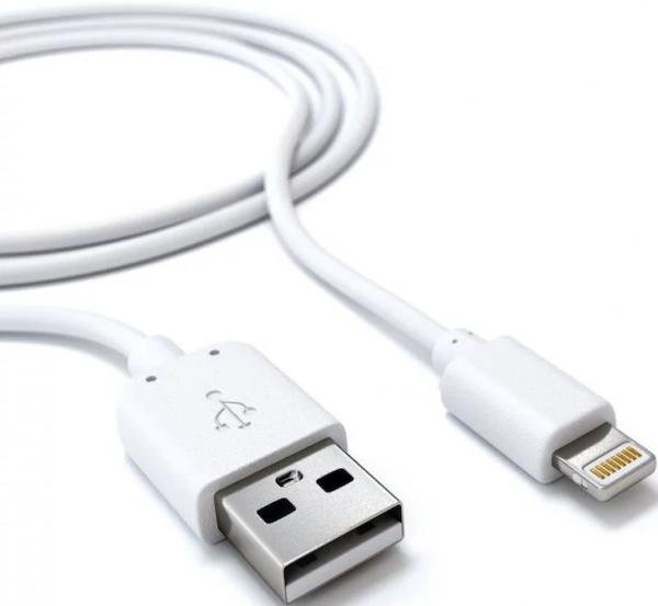 СЗУ Borasco 2USB 2.1A + кабель USB - Lightning 1m (арт.20650) White