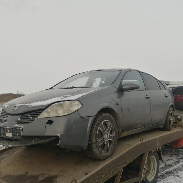 Nissan primera p12 в разборе