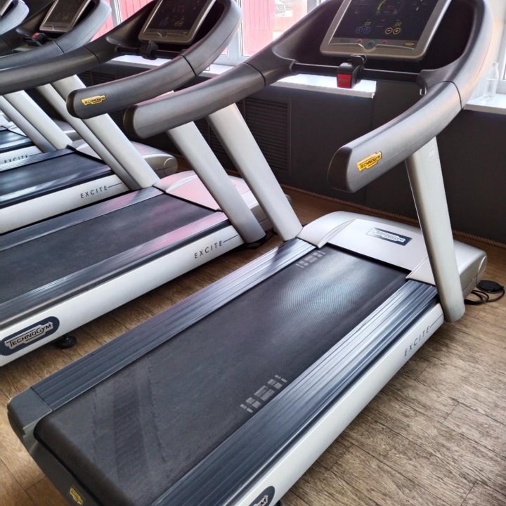 Беговые дорожки technogym