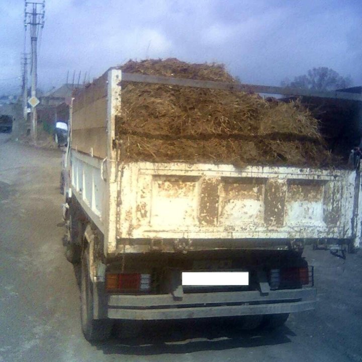 Перегной, навоз, чернозем, земля