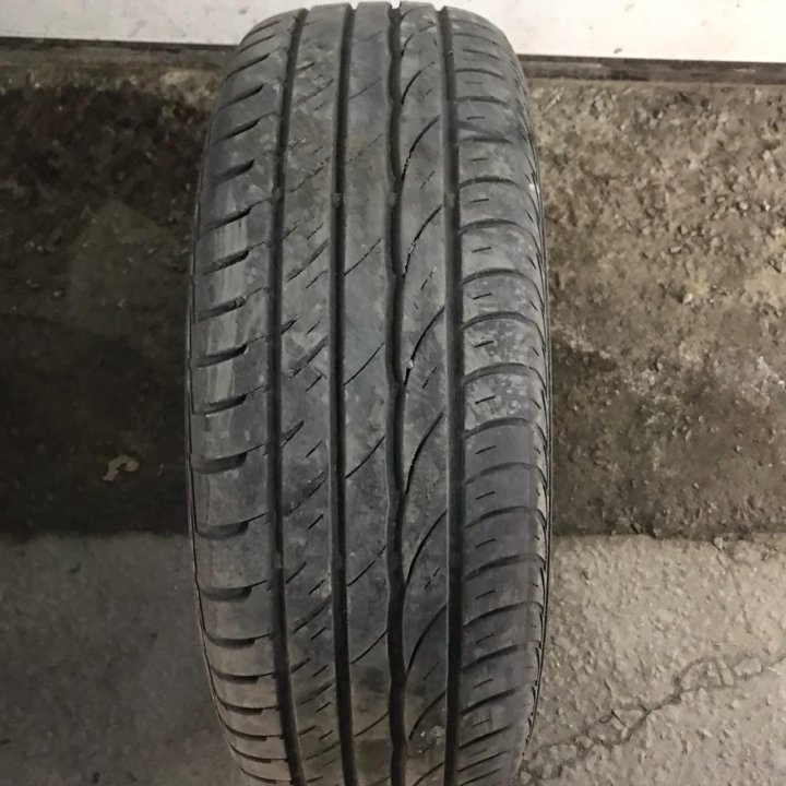 205/60R16 Barum Bravuris 2 (Лот №4345)