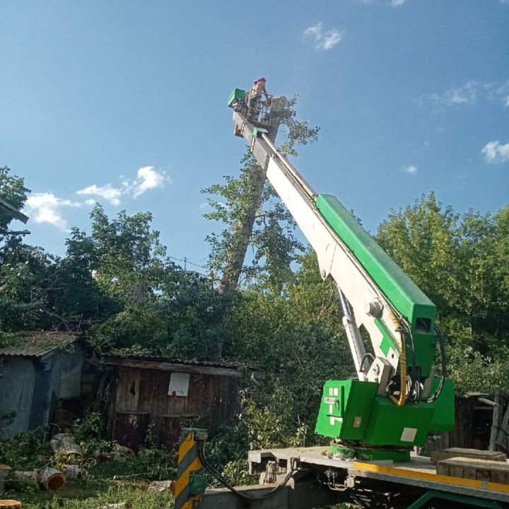 Уборка участков Спил деревьев