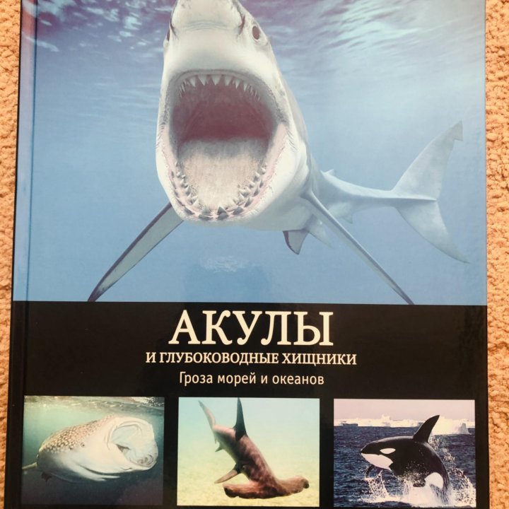 Книга акулы и глубоководные хищники