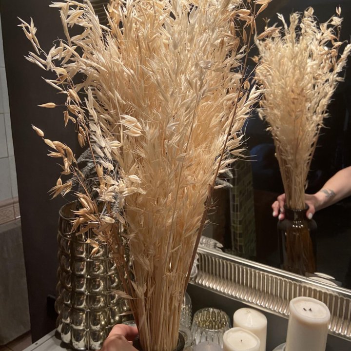 Сухоцветы разные