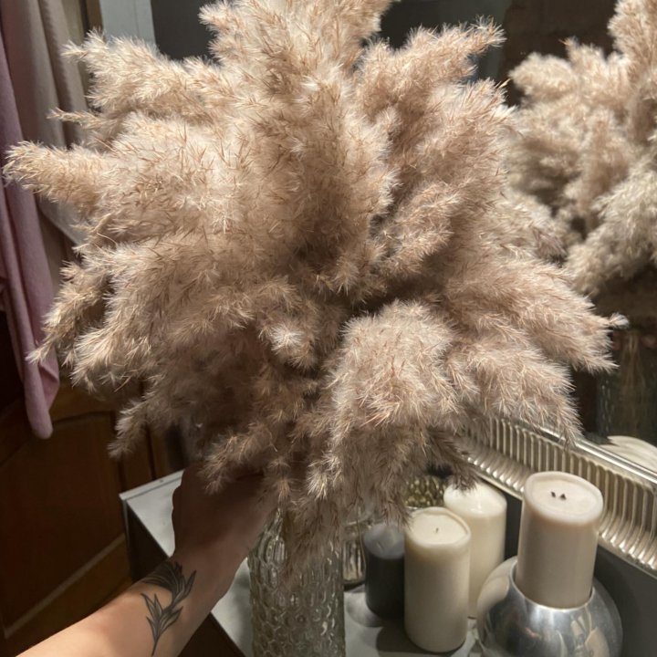 Сухоцветы разные