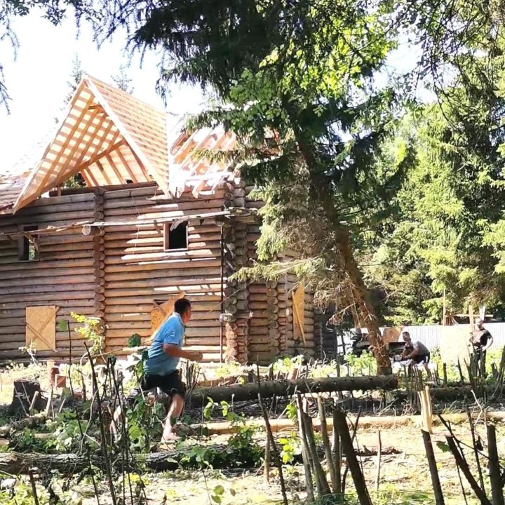 Спил деревьев и Корчевка пней