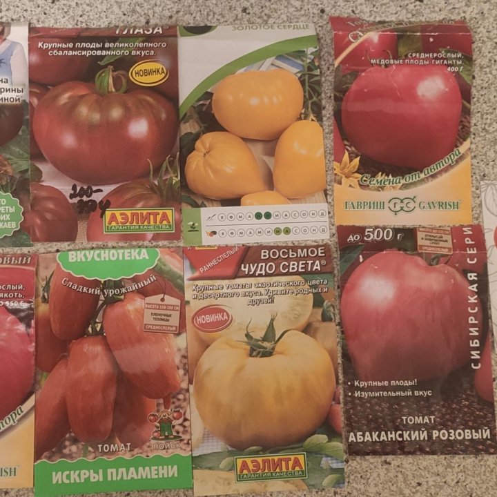 Рассада разных томатов