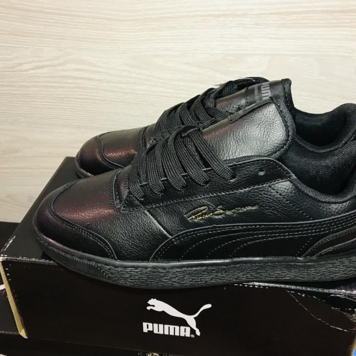 Puma