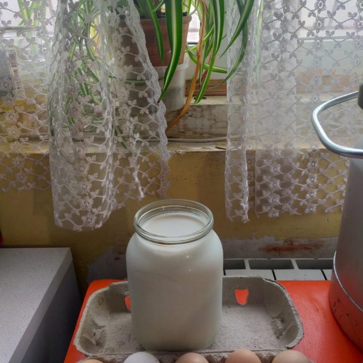 Козье молоко и домашнее яйцо