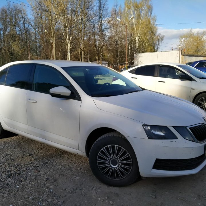 Skoda Octavia, 2019