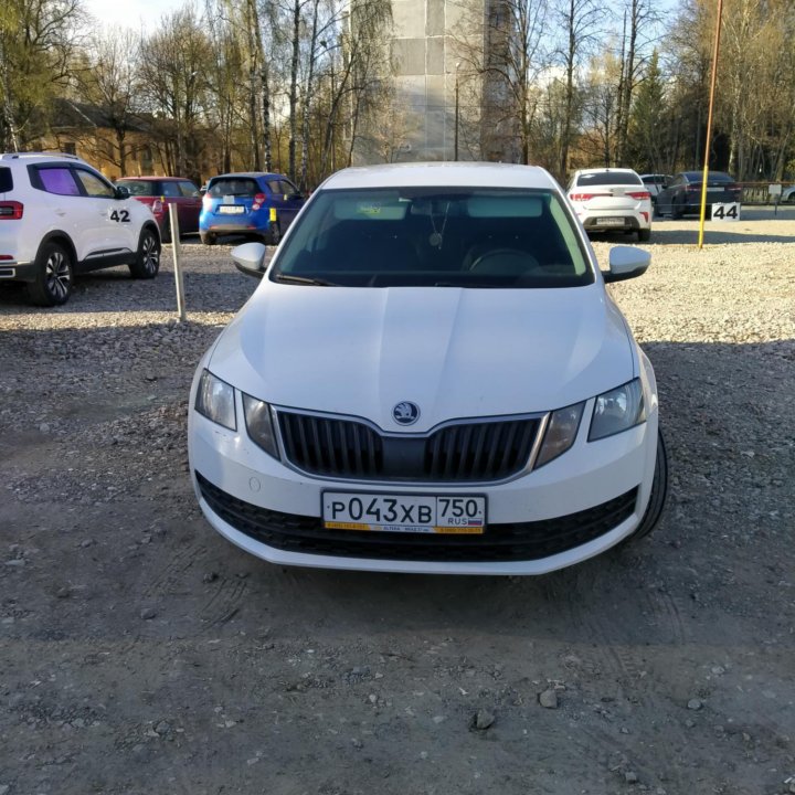 Skoda Octavia, 2019