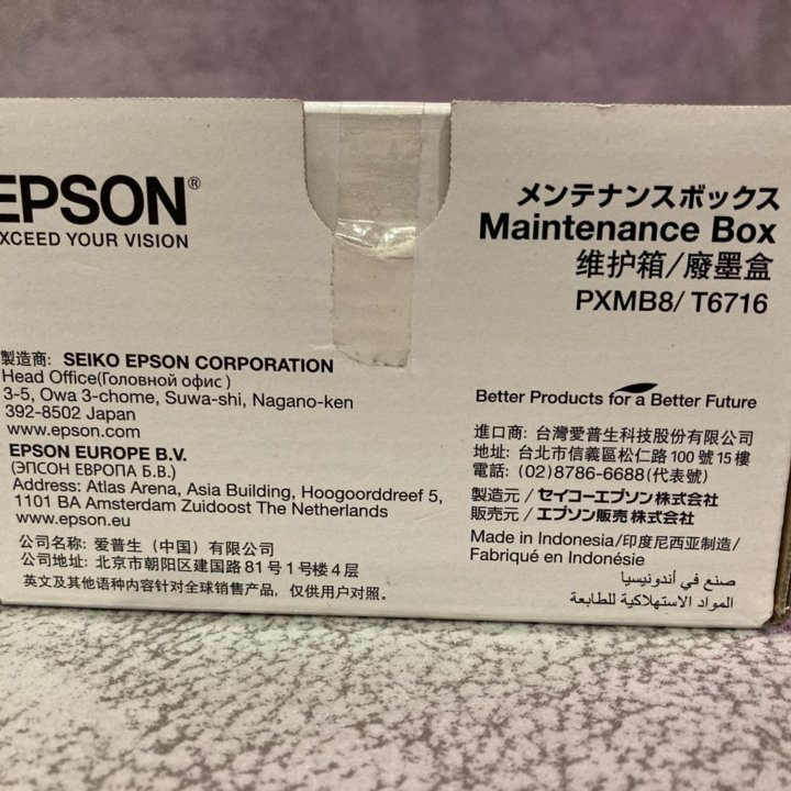 Epson C13T671600