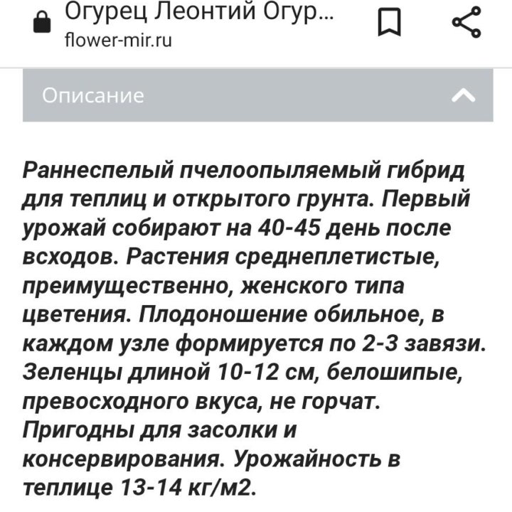 Рассада огурцов