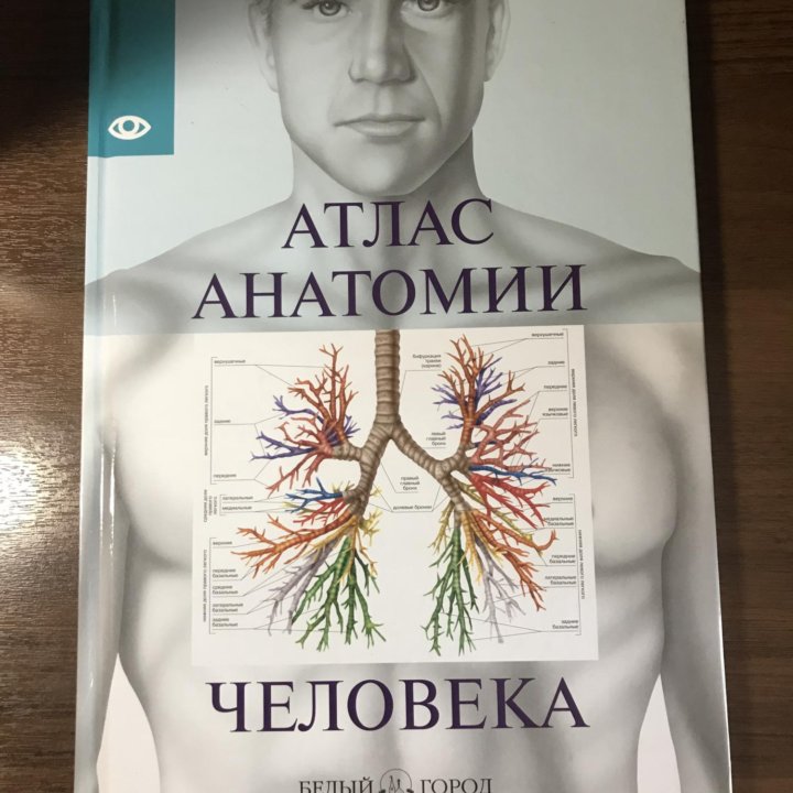 Атлас анатомии человека