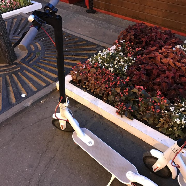 Электросамокат Xiaomi Scooter 1S