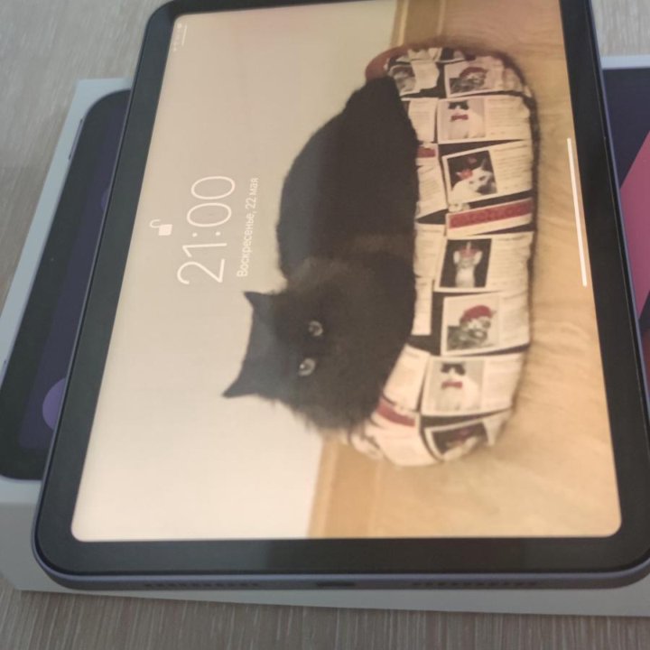 Ipad mini 6