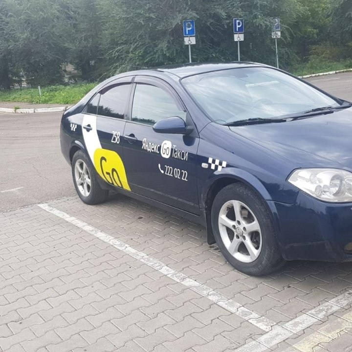 Nissan Primera в аренду