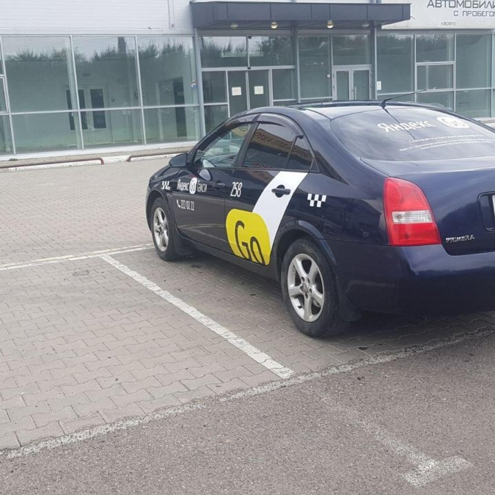 Nissan Primera в аренду