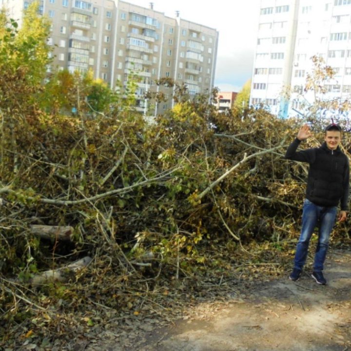 Покос травы. Спил поросли и кустарников. Снос дома