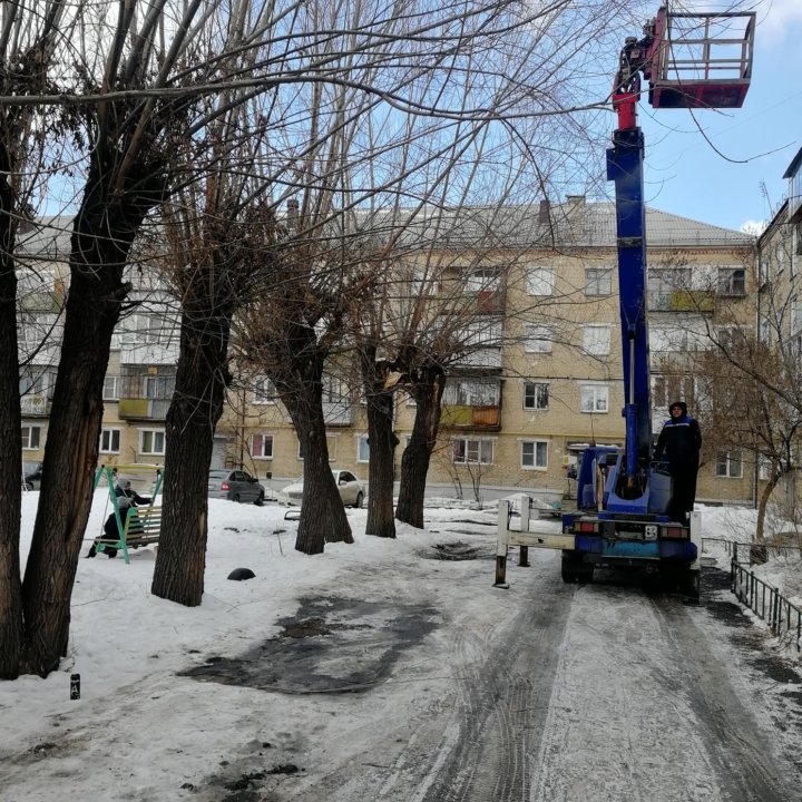 Спил деревьев любой сложности