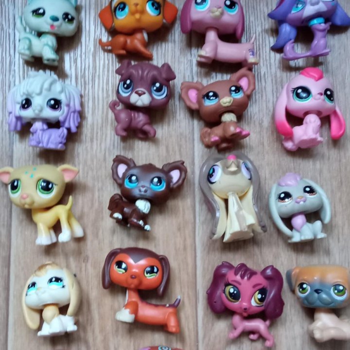 Littlest pet shop Hasbro