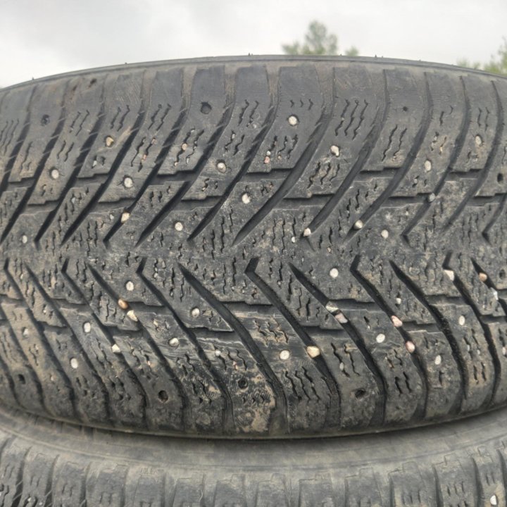 Nokian Hakkapeliitta 8, 225/50/17