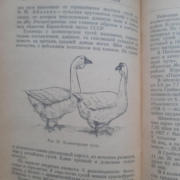 Книга Птицеводство Никитин В.П. 1948г.