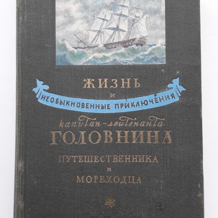 Жизнь и приключения капитан-лейтента Головина