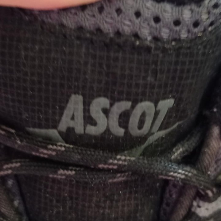 Ascot кроссы оригинал сетка