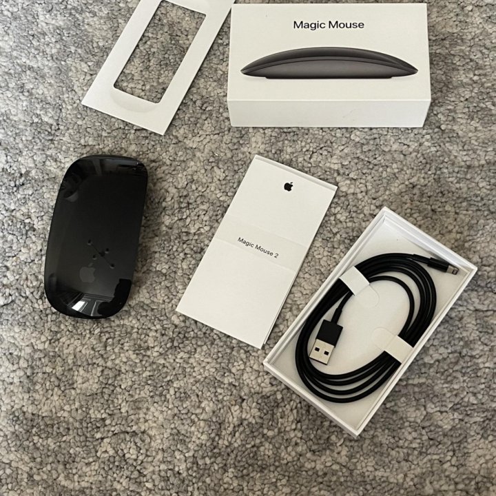 Magic Mouse 2