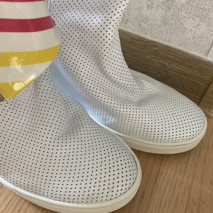 Сапоги Loriblu