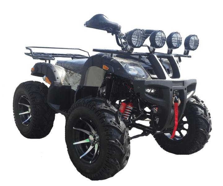 Квадроцикл GRIZZLY ATV 250CC Grizzly