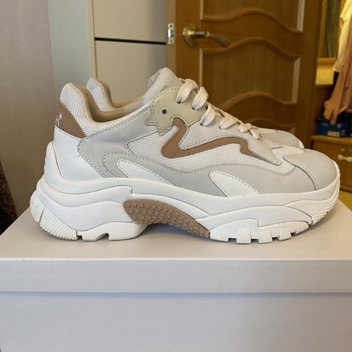 Кроссовки ASH