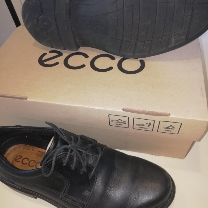 Туфли мужские ECCO