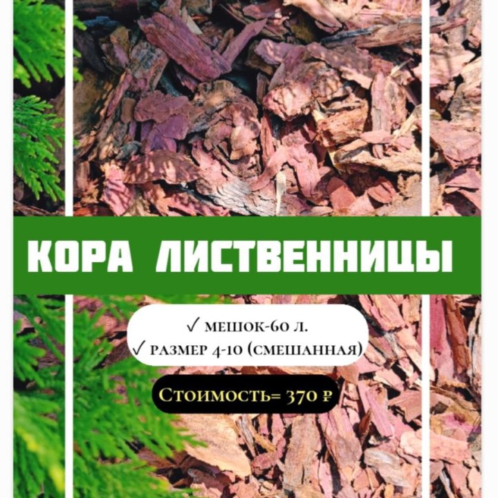 Кора лиственницы