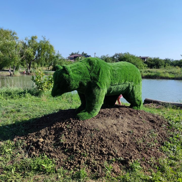 Медведь топиари