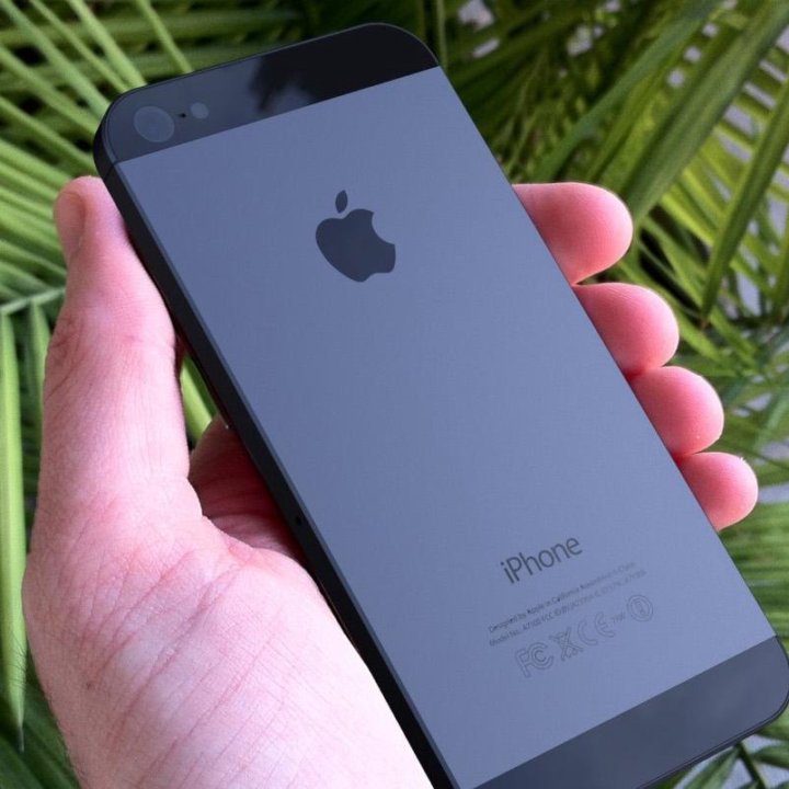 iPhone 5