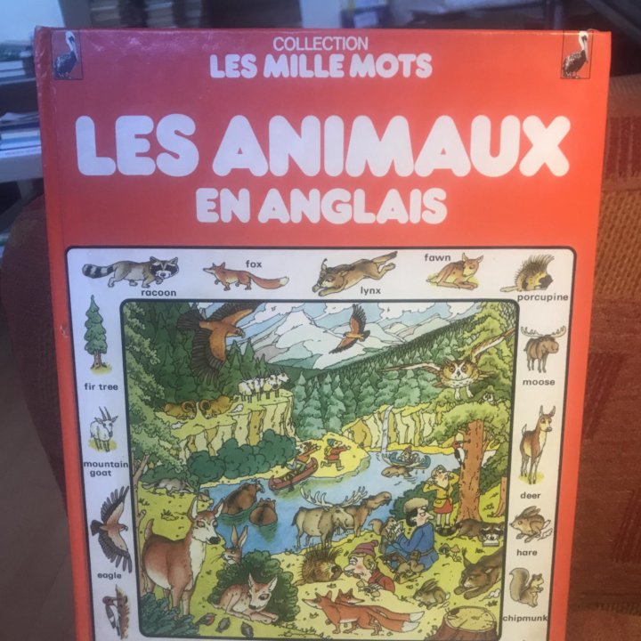 Les Animaux En Anglais