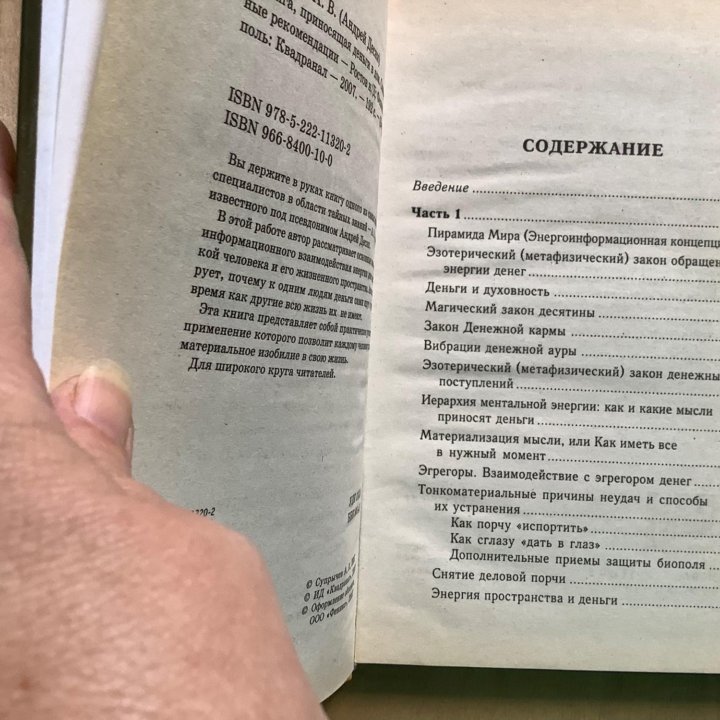 Андрей Супрычев: Книга, приносящая деньги в дом.