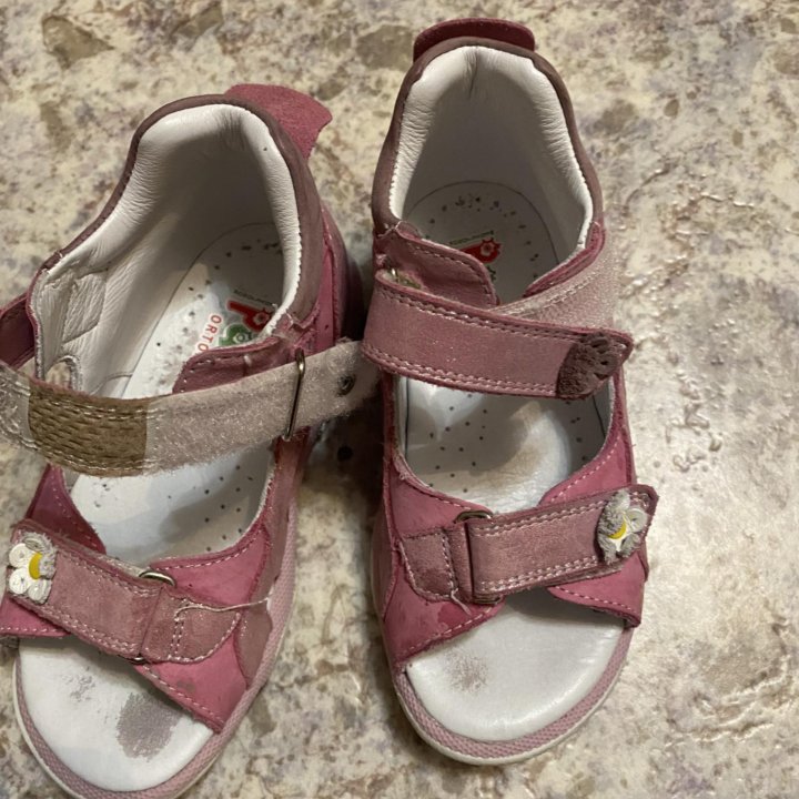 Фирма “Panda”