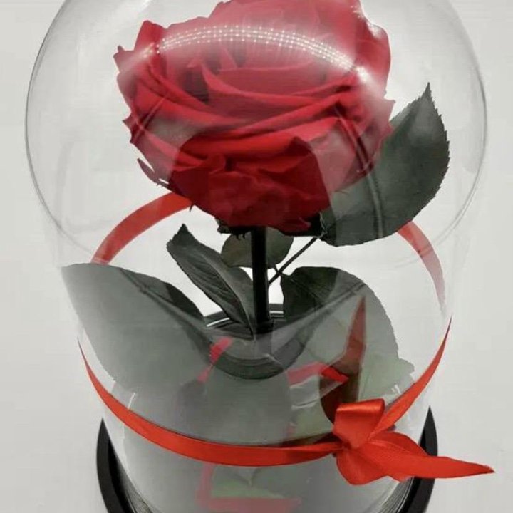 Роза в колбе
