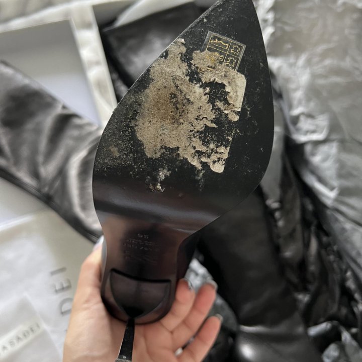 Сапоги Casadei