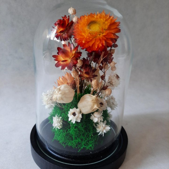 Композиция в клоше