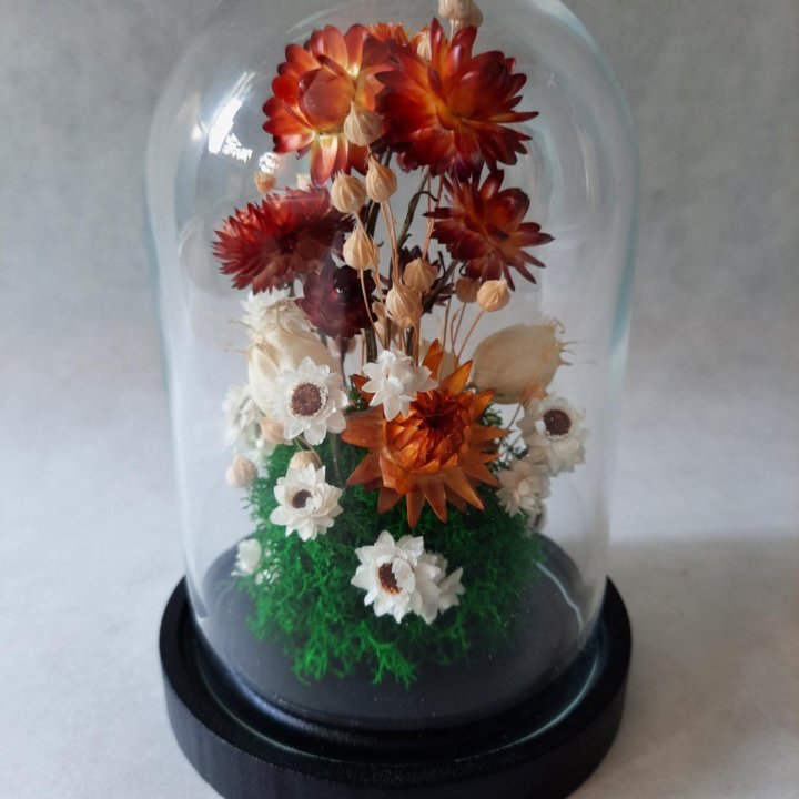 Композиция в клоше