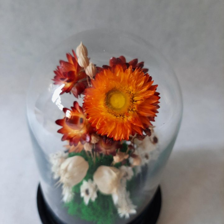 Композиция в клоше