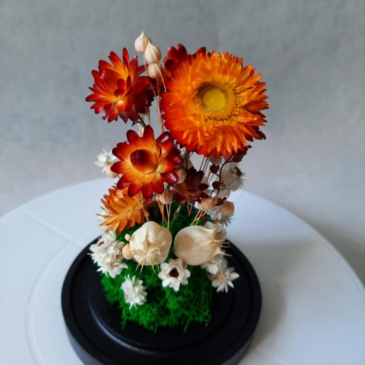 Композиция в клоше