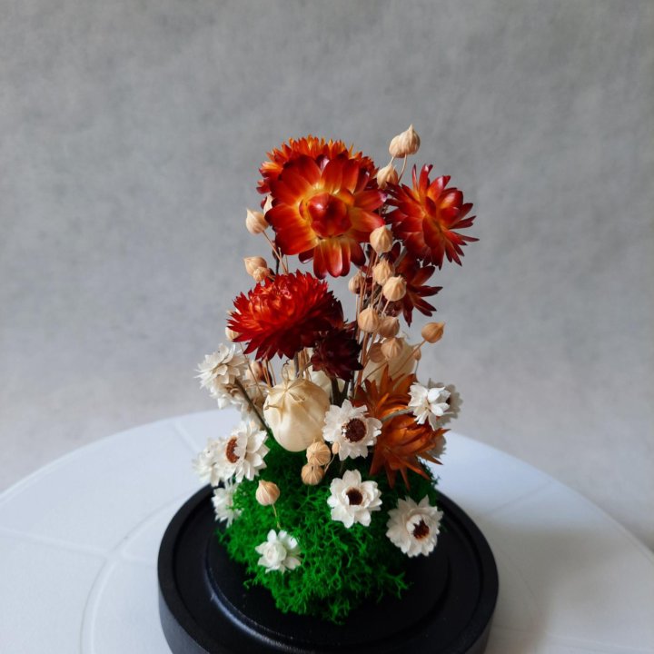 Композиция в клоше