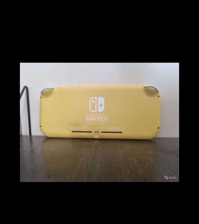 Nintendo switch lite